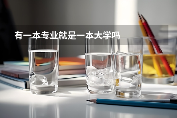 有一本专业就是一本大学吗