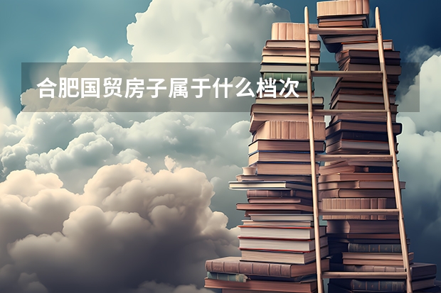 合肥国贸房子属于什么档次