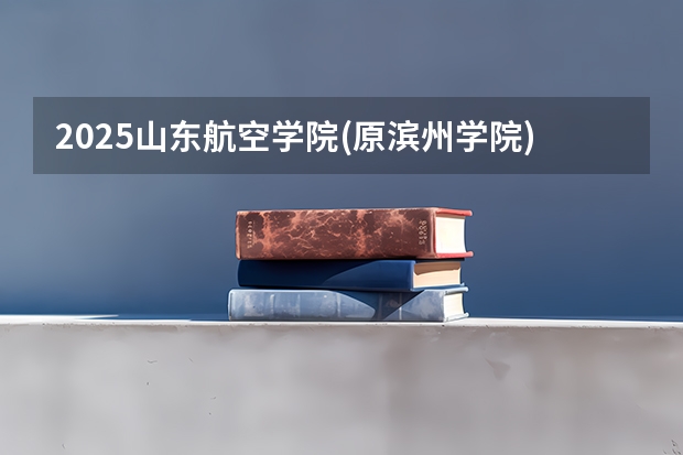 2025山东航空学院(原滨州学院)在重庆招生计划预测