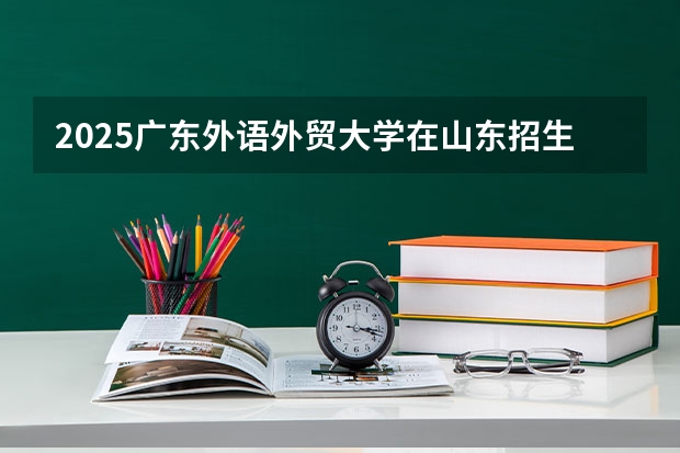 2025广东外语外贸大学在山东招生计划人数一览表