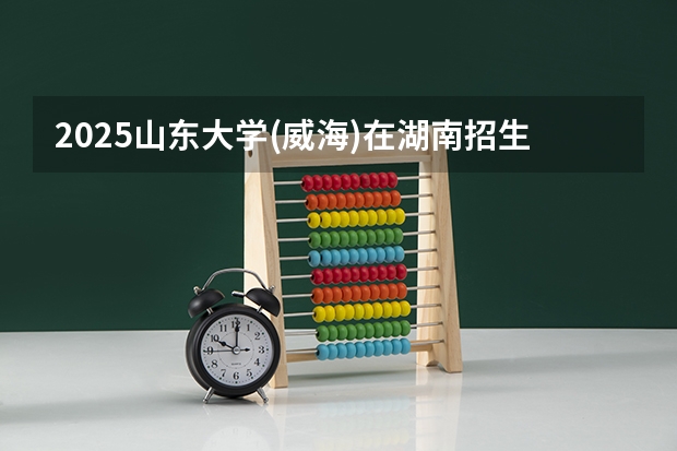 2025山东大学(威海)在湖南招生计划一览表
