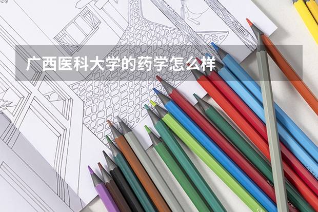 广西医科大学的药学怎么样