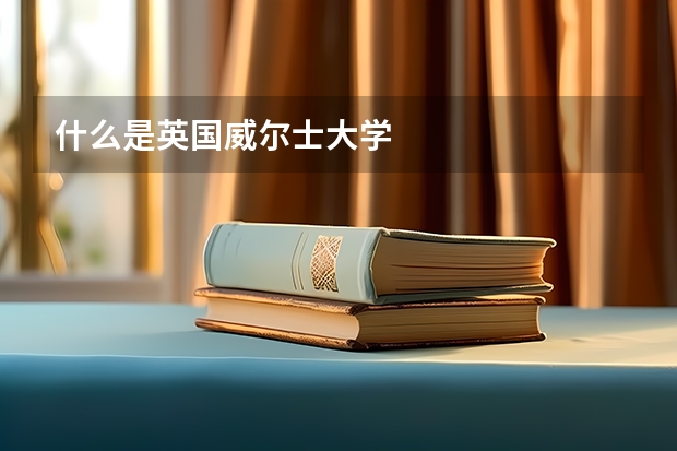 什么是英国威尔士大学