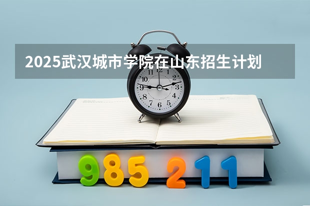 2025武汉城市学院在山东招生计划人数一览表