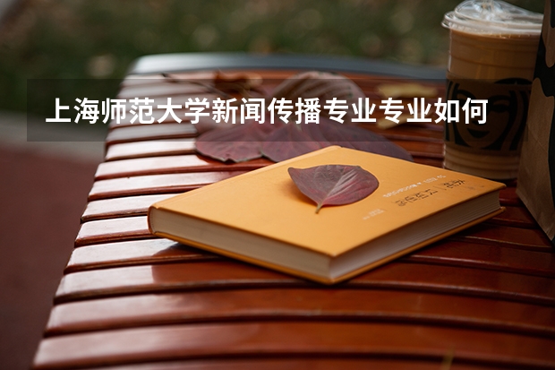 上海师范大学新闻传播专业专业如何