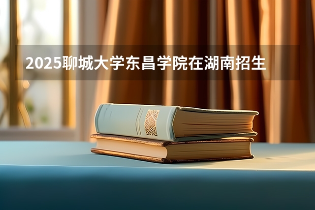2025聊城大学东昌学院在湖南招生计划一览表
