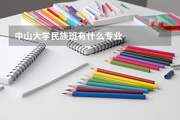 中山大学民族班有什么专业