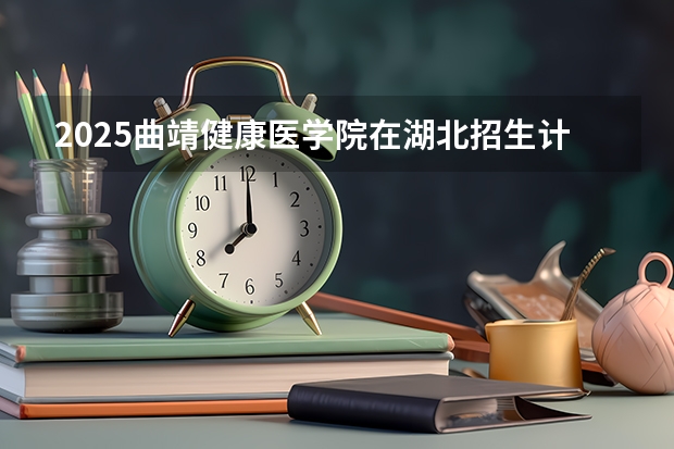 2025曲靖健康医学院在湖北招生计划一览表